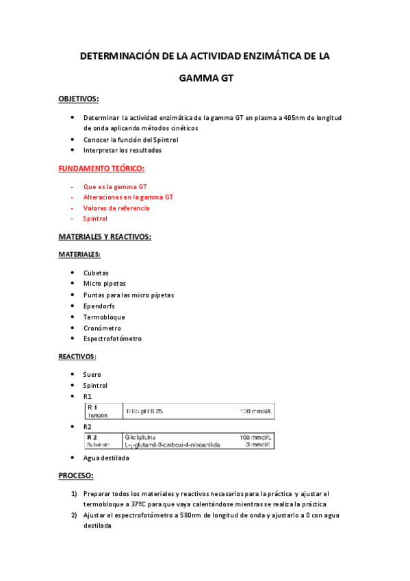 Miniatura del documento INFORME.pdf