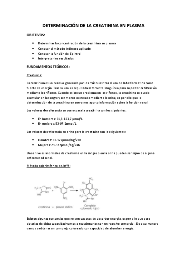 Miniatura del documento INFORME.pdf