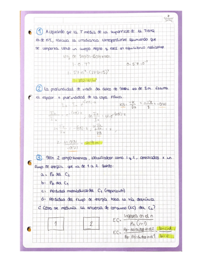 Miniatura del documento Ejercicios-y-esquemas.pdf