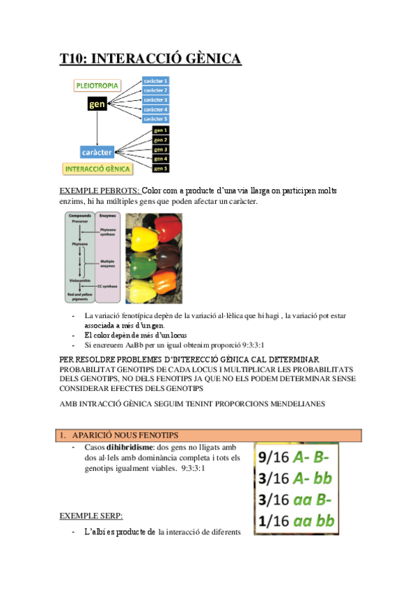 Miniatura del documento APUNTS-3R-PARCIAL-GENETICA.pdf