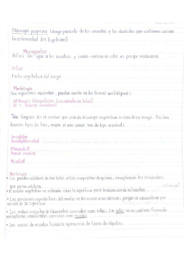 Miniatura del documento Caracteristicas.pdf