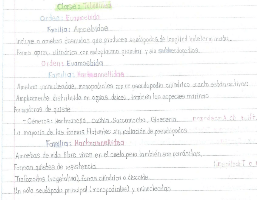 Miniatura del documento Clase-Tubullinea.pdf