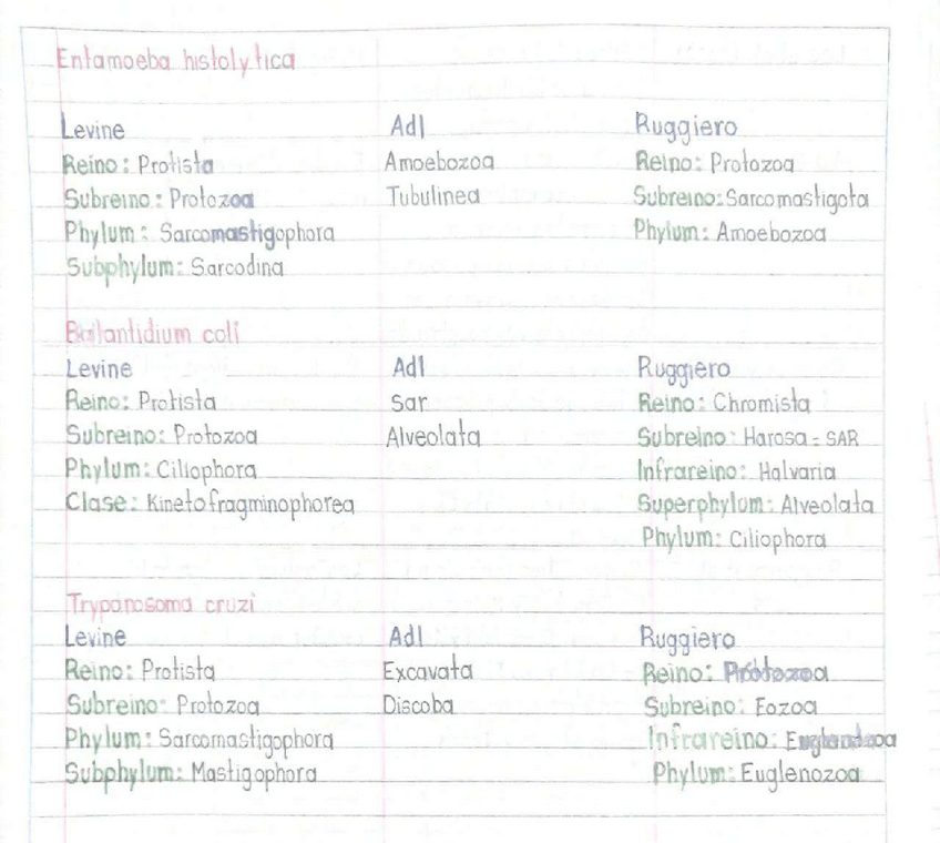 Miniatura del documento Ejercicio-clasificaciones.pdf