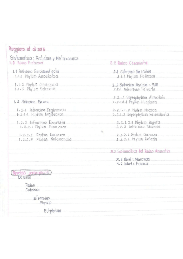 Miniatura del documento Clasificacion-Ruggiero-2015.pdf