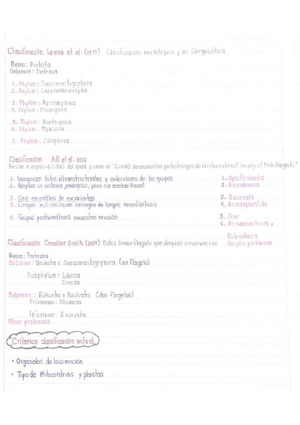 Miniatura del documento Clasificacion-morfologica.pdf