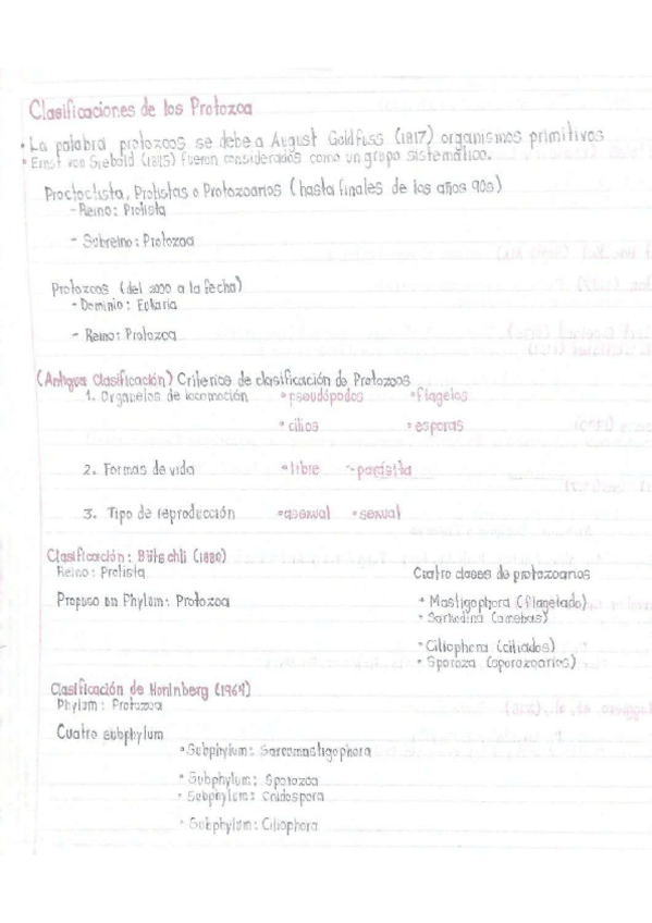 Miniatura del documento Clasificacion-de-Protozoa.pdf