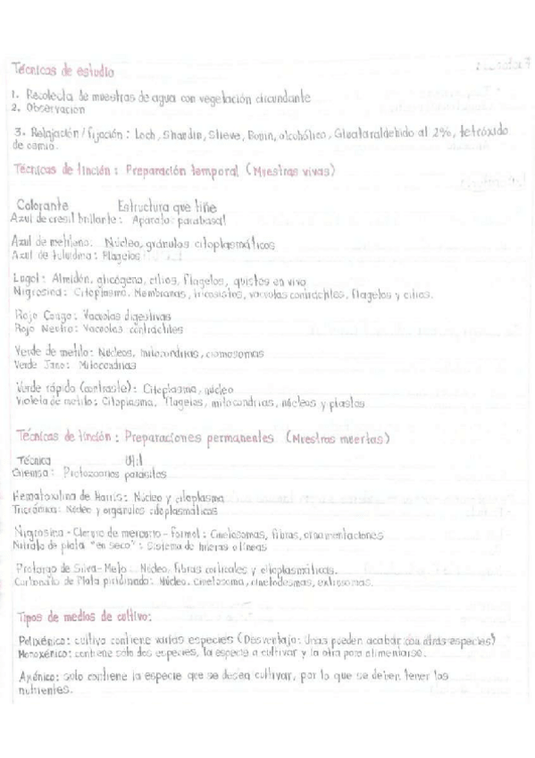 Miniatura del documento Tecnicas-de-estudio.pdf