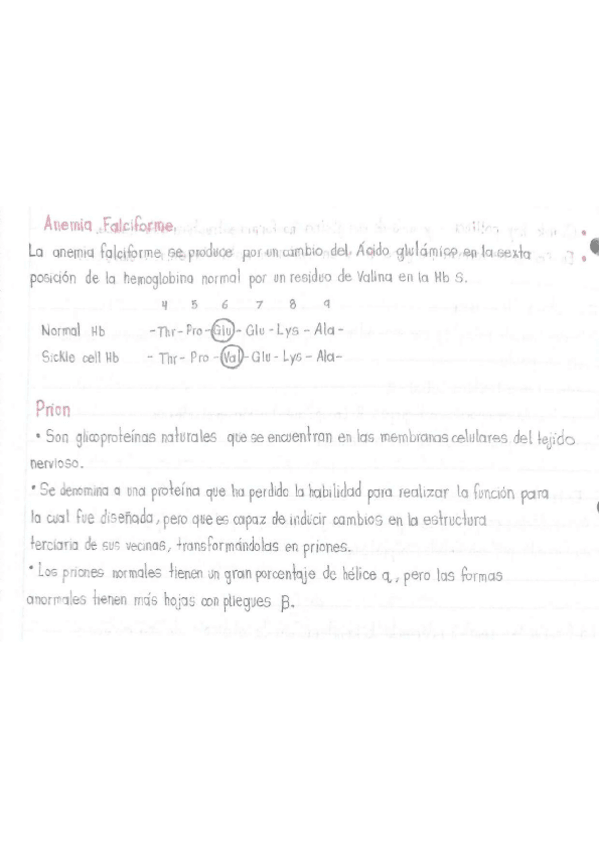 Miniatura del documento Anemia-falciforme.pdf