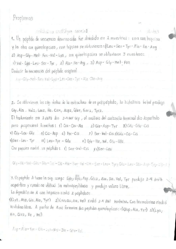 Miniatura del documento Problemas-aminoacidos.pdf