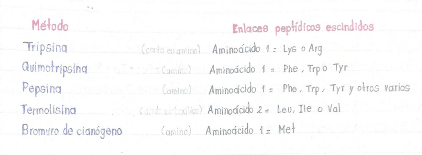 Miniatura del documento Enlaces-peptidicos.pdf