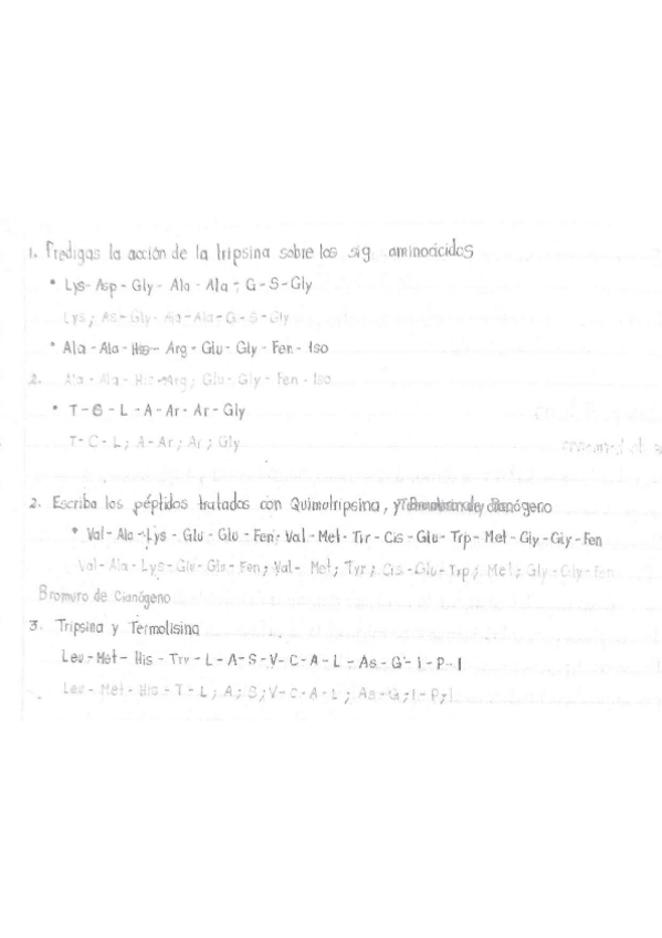 Miniatura del documento Ejercicio-aminoacidos.pdf