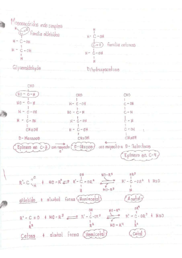 Miniatura del documento Monoscaridos-mas-simples.pdf