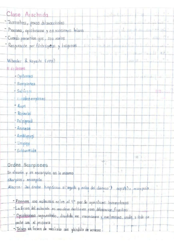 Miniatura del documento Clase-Arachnida.pdf