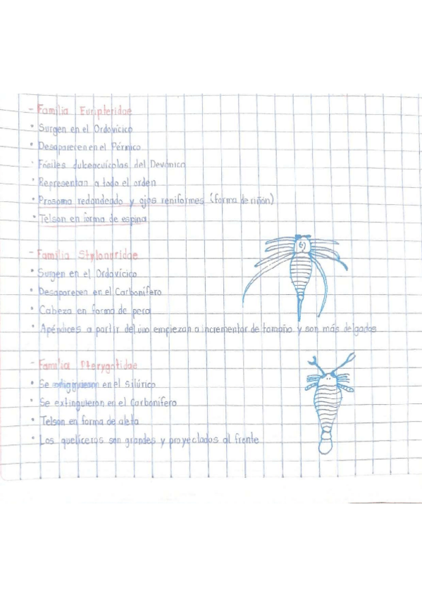 Miniatura del documento Familias-del-orden-Eurypterida.pdf