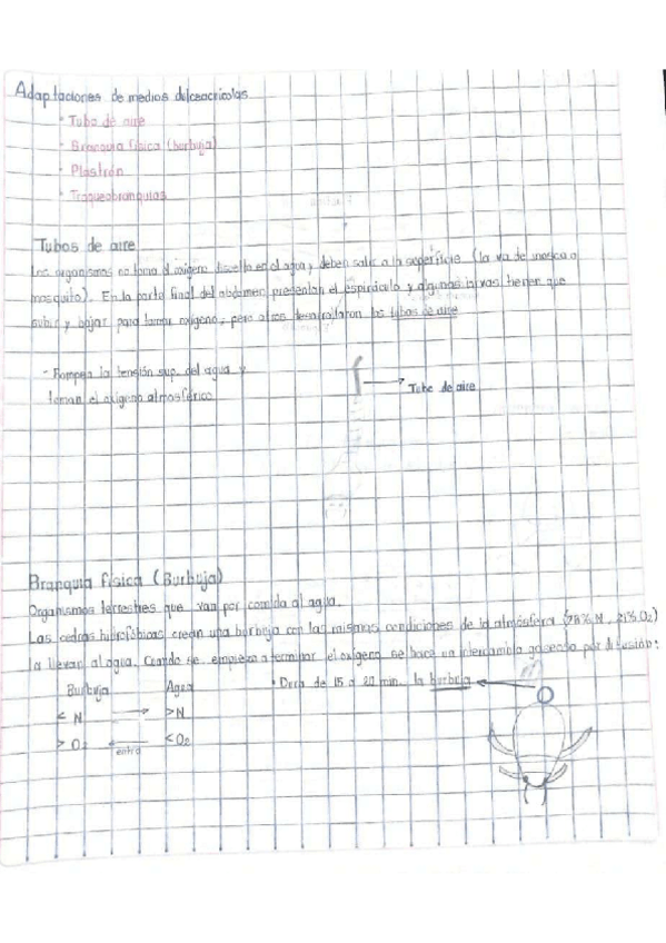 Miniatura del documento Tubos-de-aire.pdf