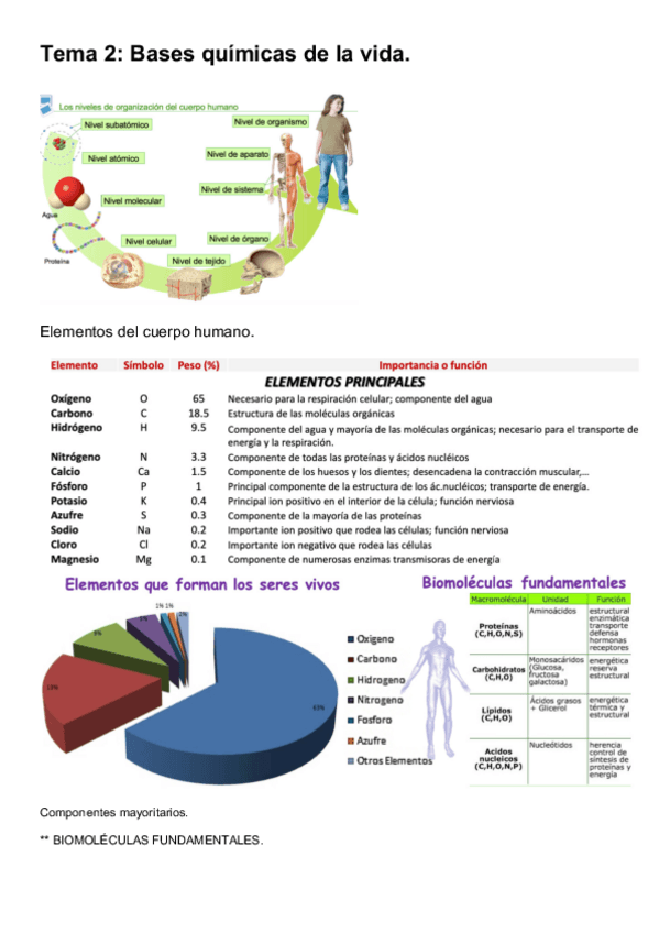 Miniatura del documento Fisiologia-T2.pdf