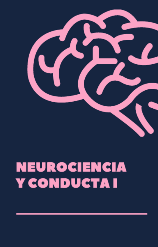 Miniatura del documento apuntes neurociencia completos.pdf