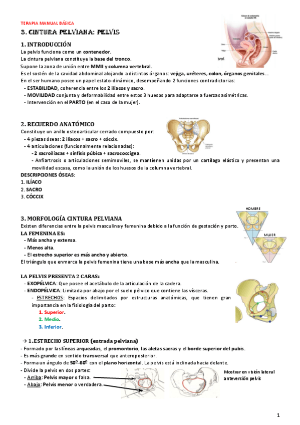 Miniatura del documento 3.pdf