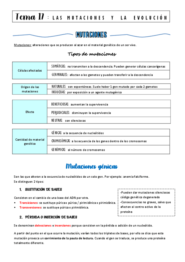 Miniatura del documento tema-17-mutaciones-y-evolucion.pdf