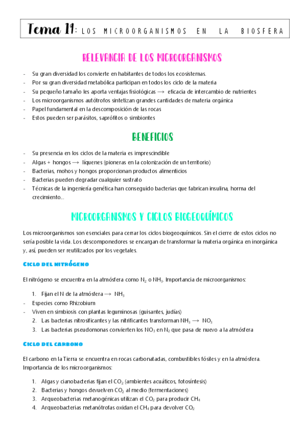 Miniatura del documento tema-19-microorganismos-en-la-biosfera.pdf