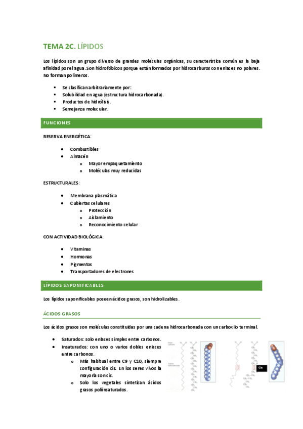 Miniatura del documento TEMA-2C-LIPIDOS.pdf