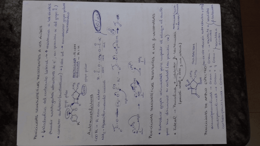 Miniatura del documento t2.2.jpg