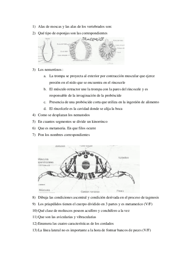 Miniatura del documento Examen-biologia.pdf