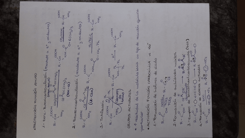 Miniatura del documento t2.4.jpg