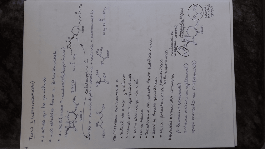 Miniatura del documento t2.6.jpg