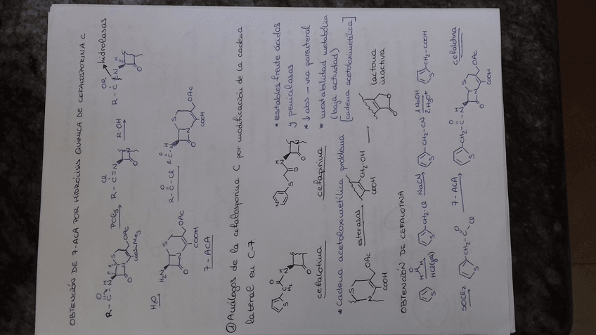 Miniatura del documento t2.7.jpg