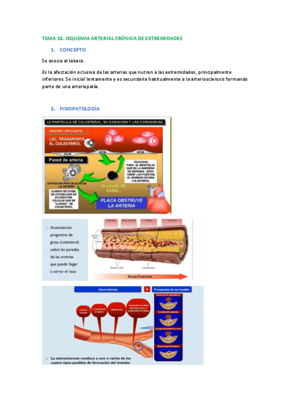 Miniatura del documento Tema-13.pdf