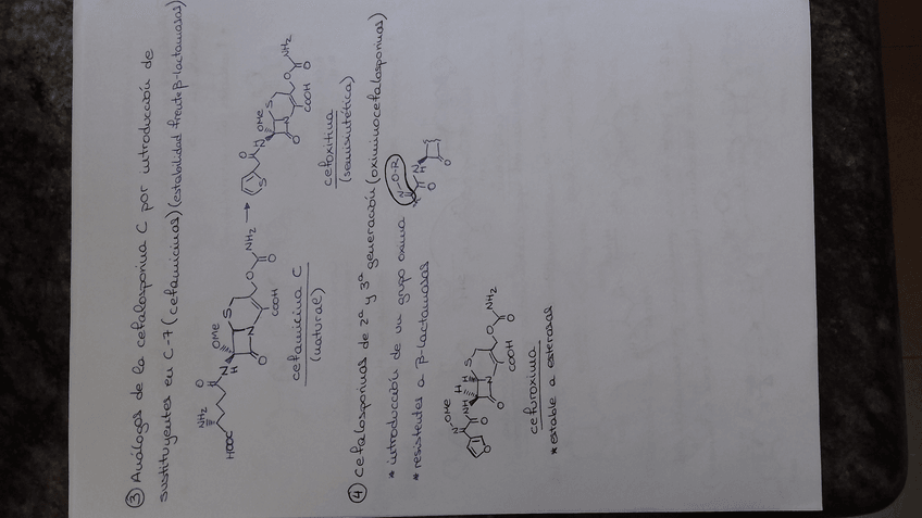 Miniatura del documento t2.9.jpg