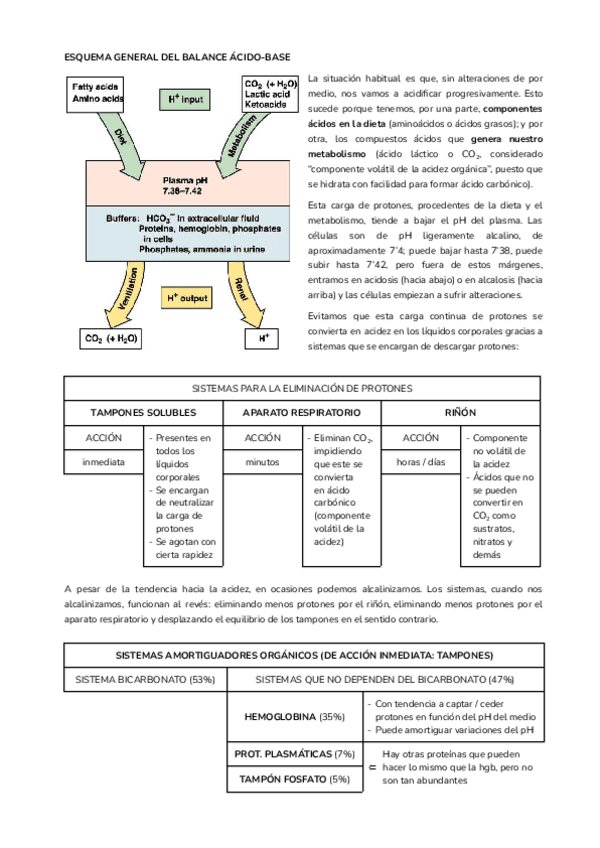 Miniatura del documento T20.pdf