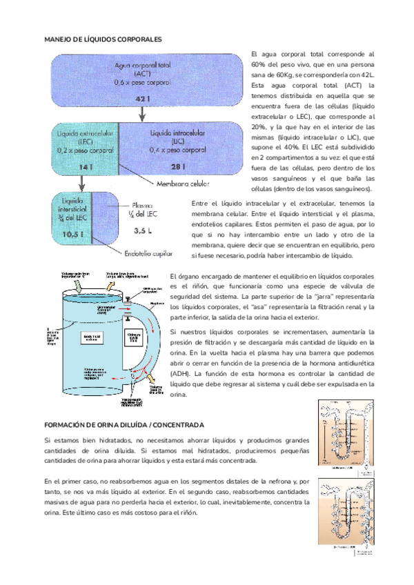 Miniatura del documento T19.pdf