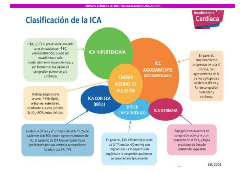 Miniatura del documento FORMAS-CLINICAS-DE-INSUFICIENCIA-CACRDIACA-AGUDA.pdf