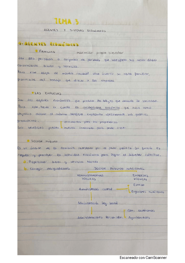 Miniatura del documento Apuntes-comunitarios-economia-temas-3-y-5.pdf