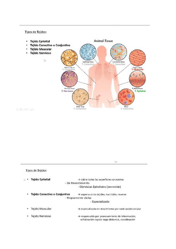 Miniatura del documento Pacticas-Tisular-tejidos.docx