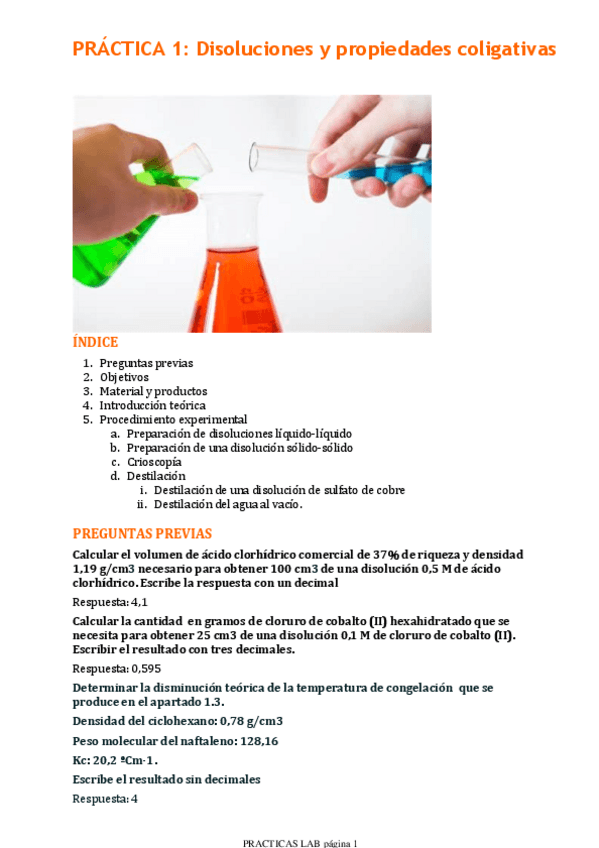 Miniatura del documento INFORME-DE-LABORATORIO.pdf