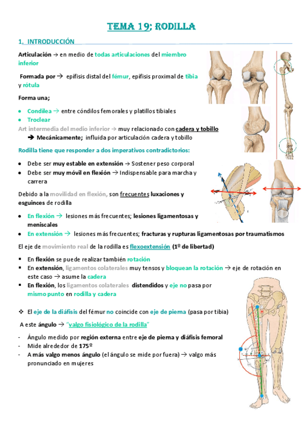 Miniatura del documento Tema-19-Rodilla.pdf