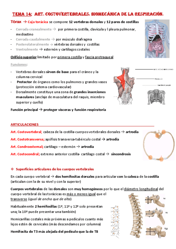 Miniatura del documento Tema-14-Art.pdf