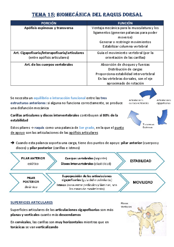 Miniatura del documento Tema-15-Biomecanica-Raquis-Dorsal.pdf