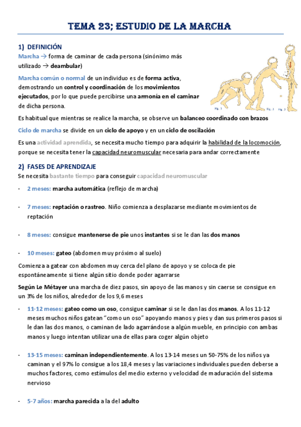 Miniatura del documento Tema-23-Estudio-de-la-Marcha.pdf