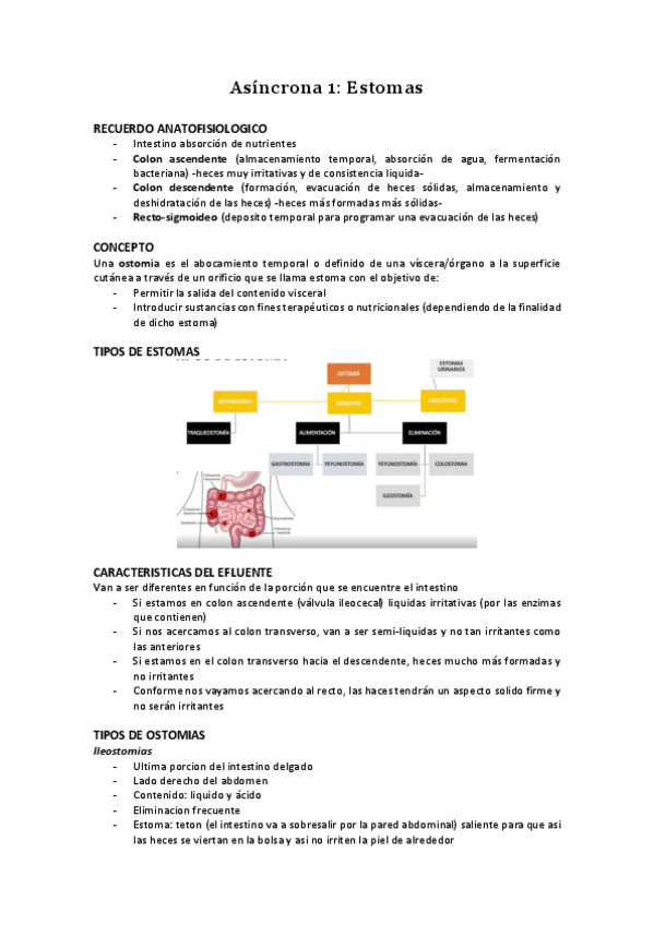 Miniatura del documento Asincrona-1-Estomas.pdf