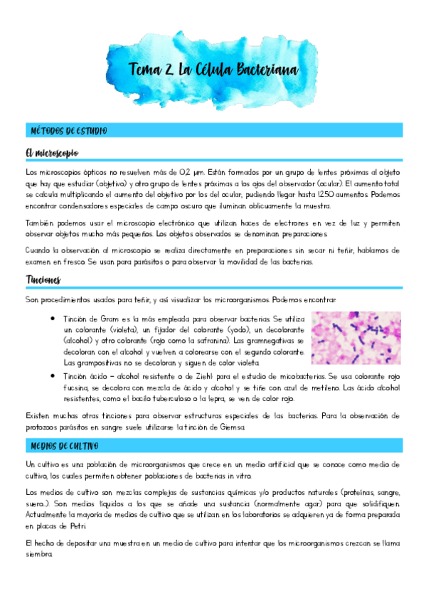 Miniatura del documento Tema-2.pdf
