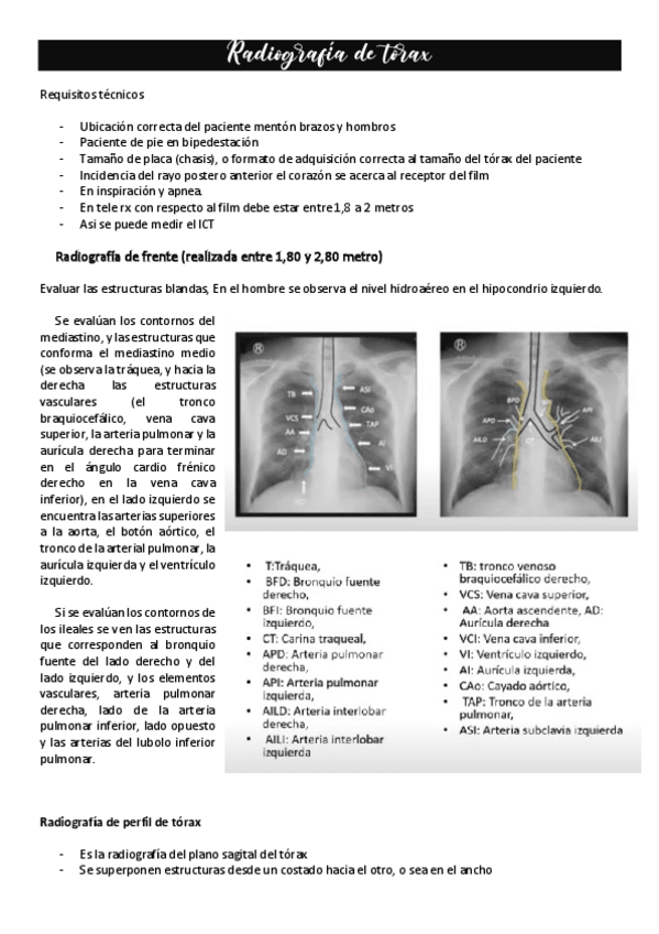Miniatura del documento Radiografia-de-torax.pdf
