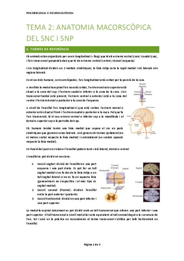 Miniatura del documento tema-2-NUERO.pdf
