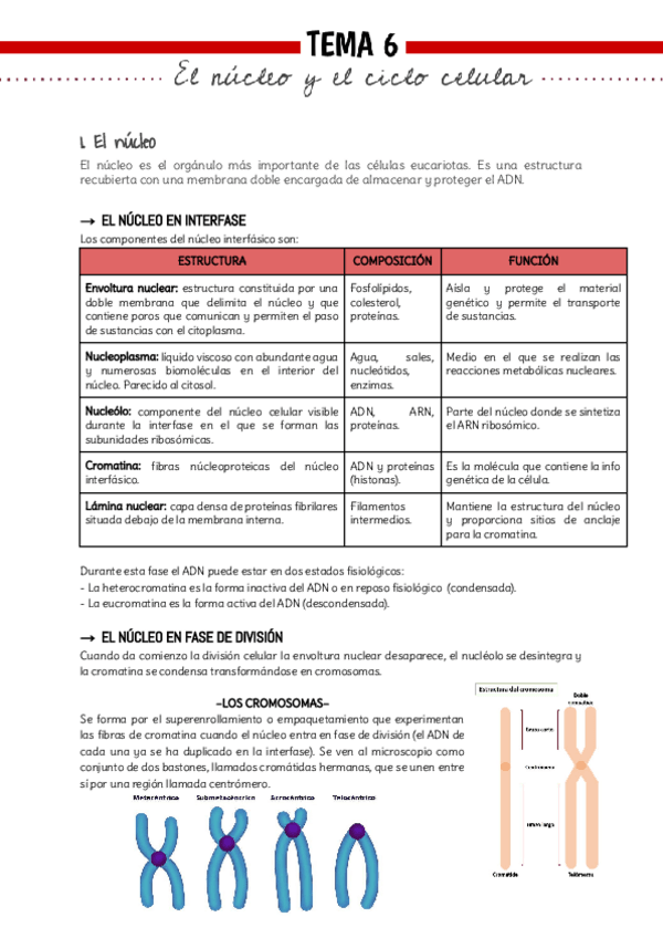 Miniatura del documento Bio-Tema-6.pdf