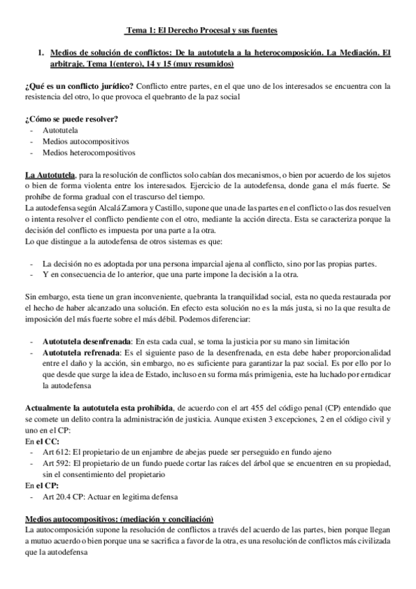 Miniatura del documento PROCESAL-COMPLETO.pdf