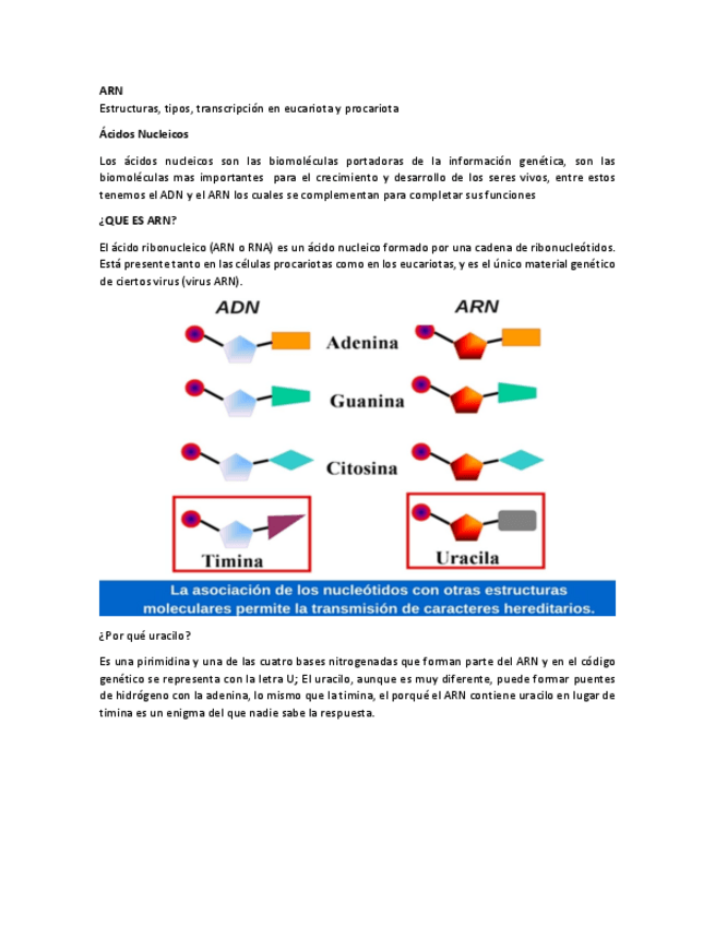 Miniatura del documento ARN.pdf
