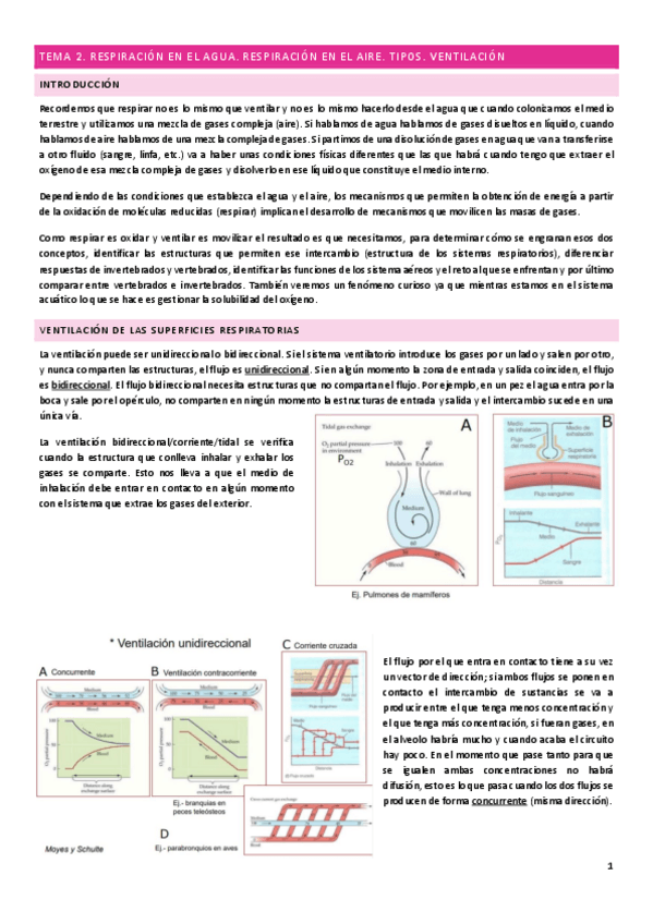 Miniatura del documento Tema-2.pdf